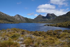 Cradle Mountain (Dove lake)