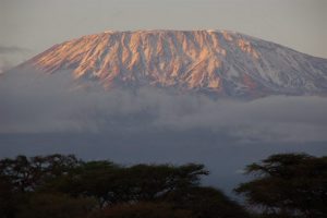 Kilimanjaro