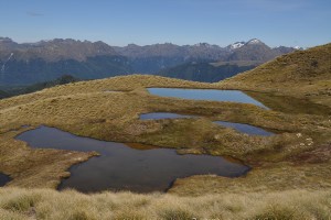 small lakes at Mt. Burns