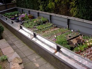 cold frame