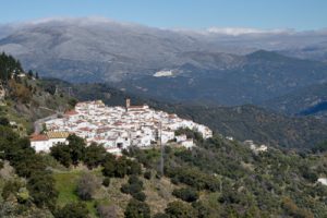 Algatocin village, 715m