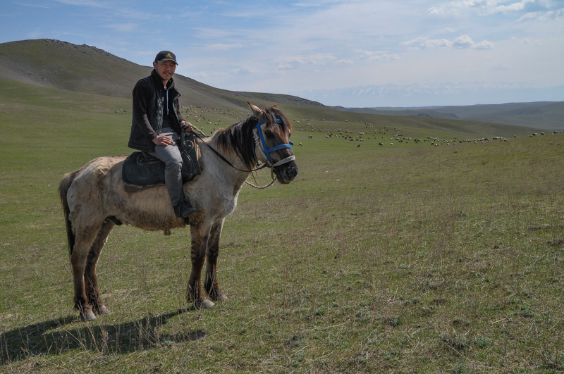 Kazakh herdsman