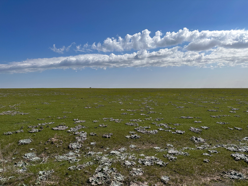 view near Tamgaly-Tas